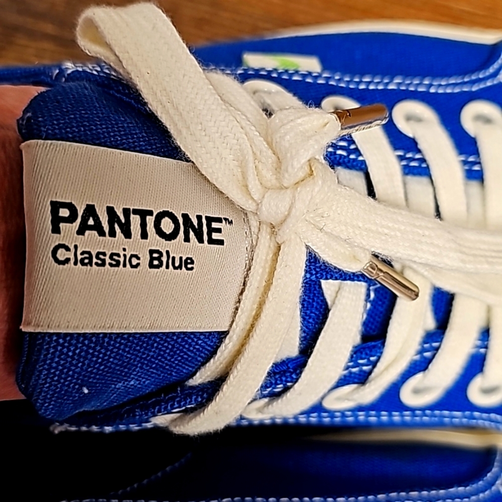 Pantone classic blue sneakers